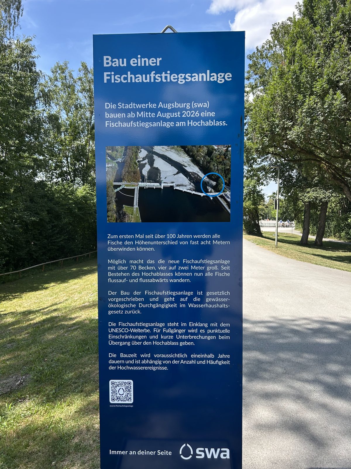 img 0531