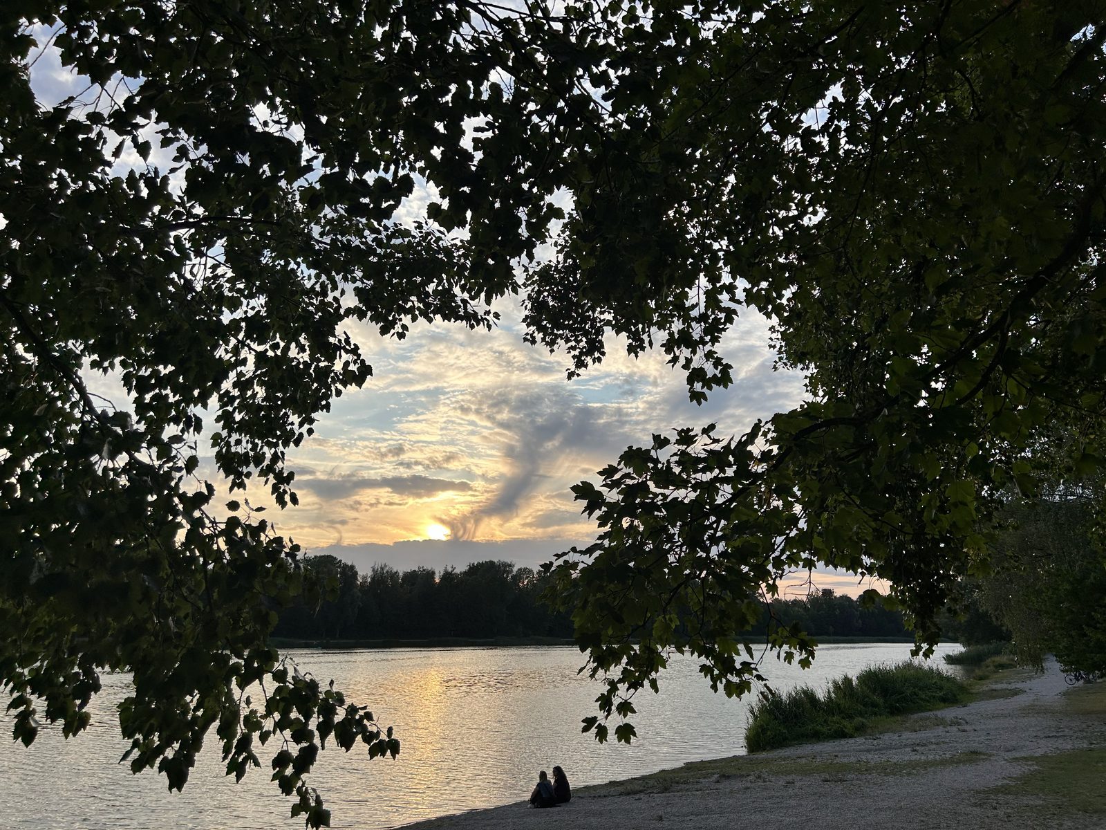 img 0534