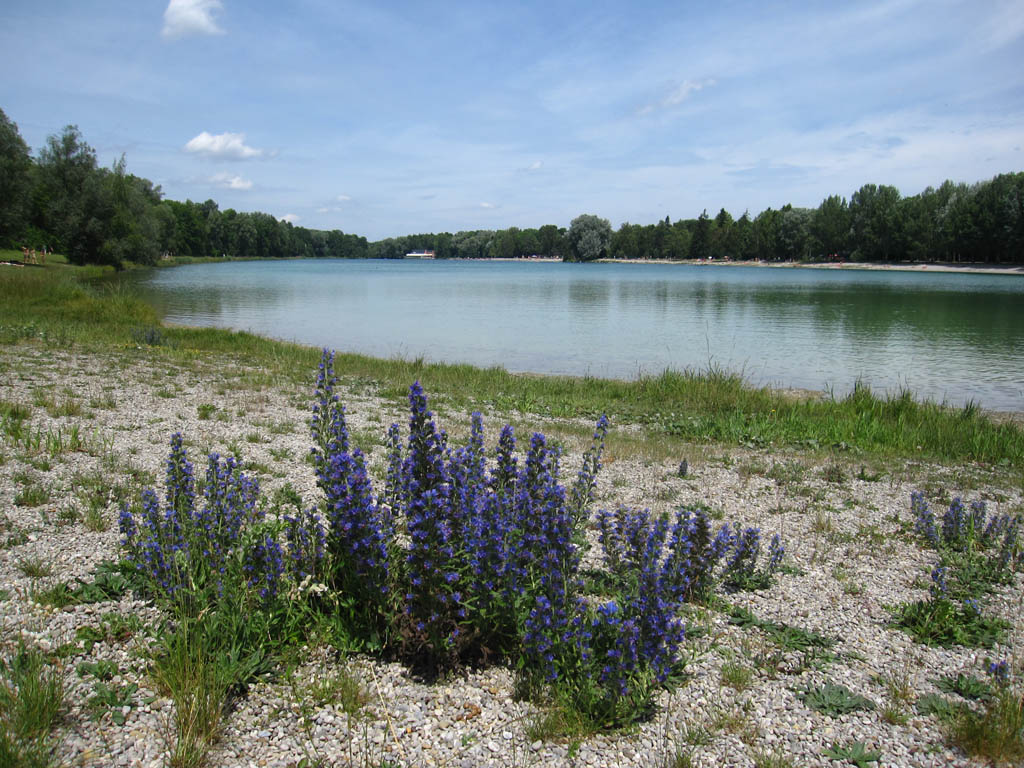 Bilder vom Kuhsee Kuhsee Suedufer 1