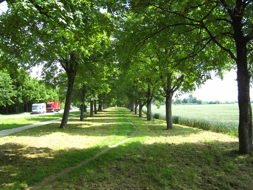 Bilder vom Kuhsee Kuhsee Zugang Allee Mittenwalder Strasse 1
