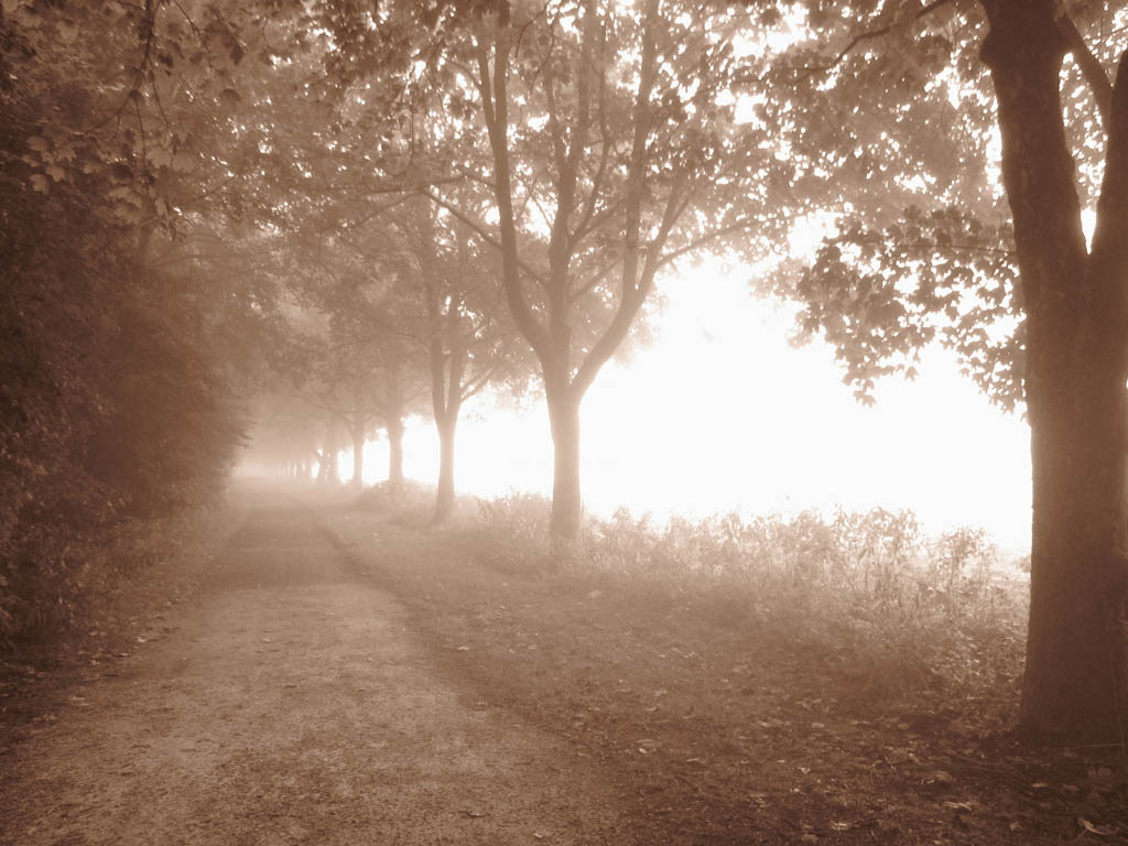 Bilder vom Kuhsee Kuhsee Zugang Allee Mittenwalder Strasse 2