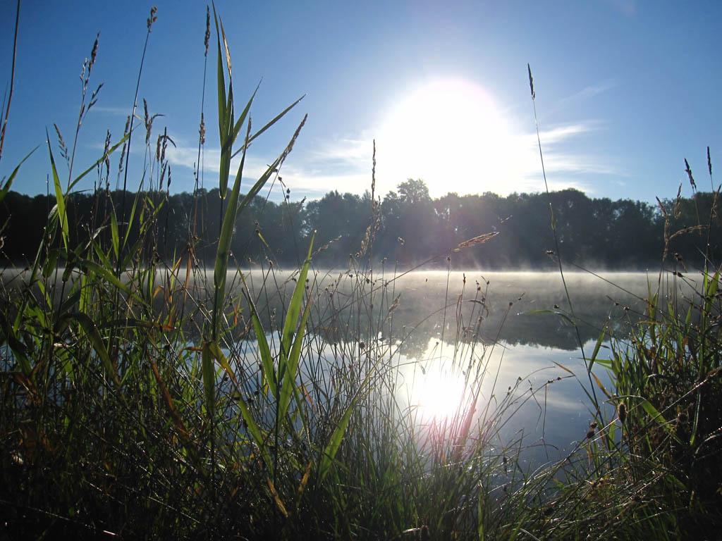 sonnenaufgang nebel